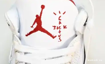 x 3 Air Jordan “Palomino” Scott Travis 0528
